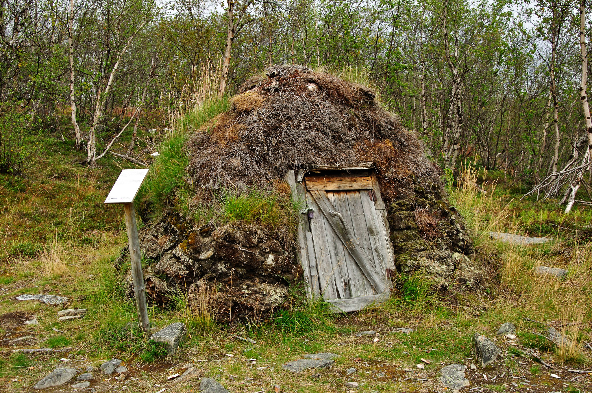 Abisko-2013_-327.jpg