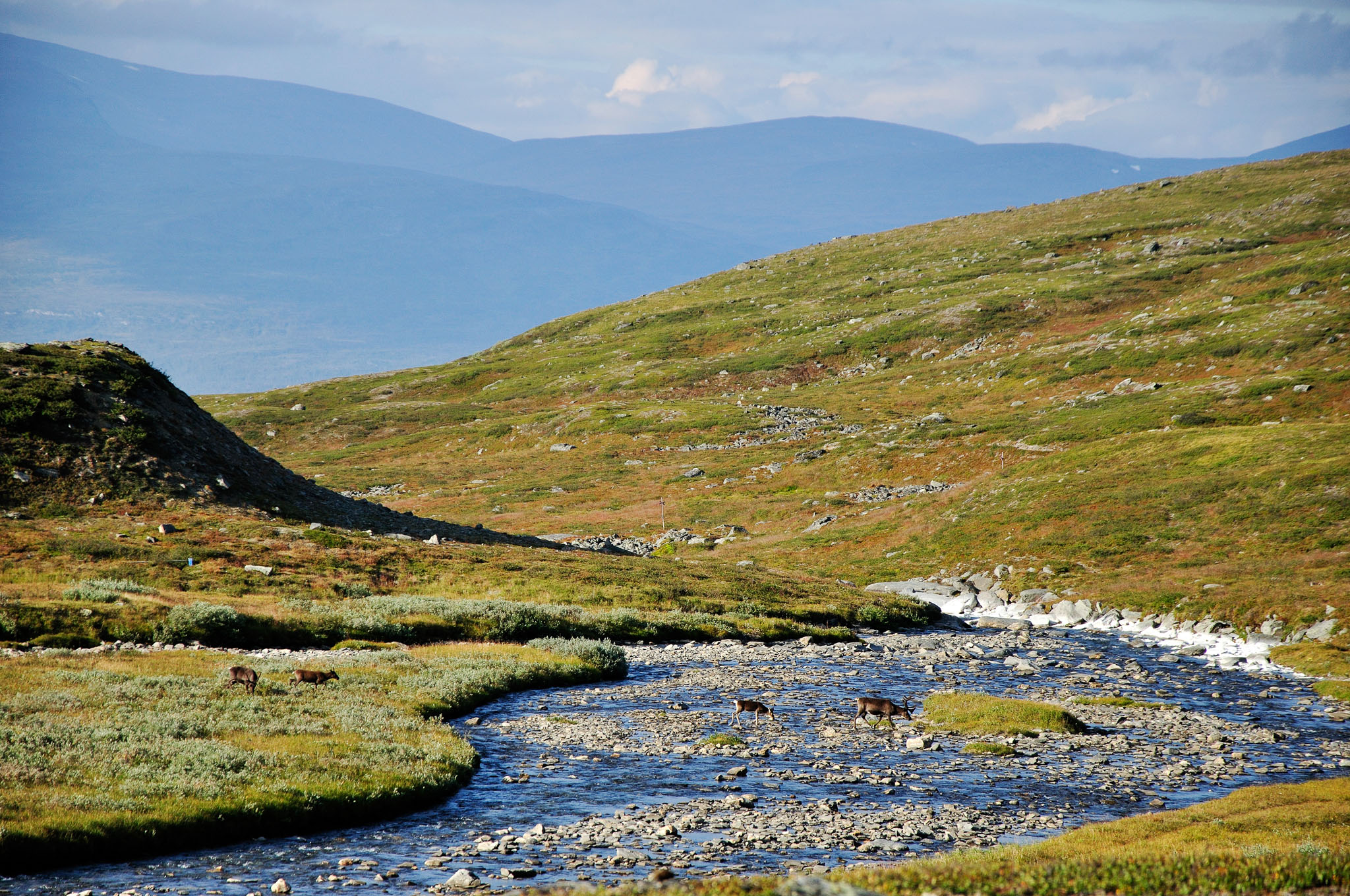 Abisko-2013_-33.jpg