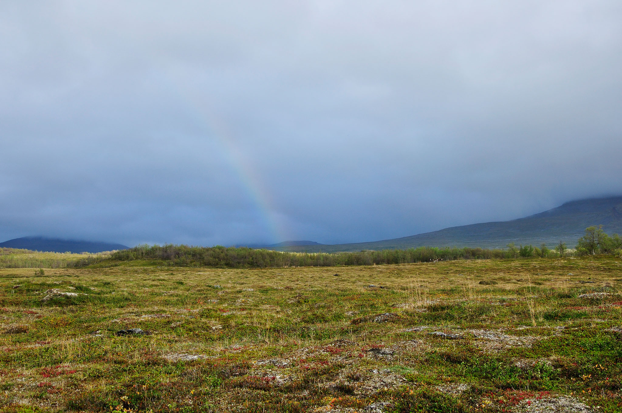 Abisko-2013_-331.jpg