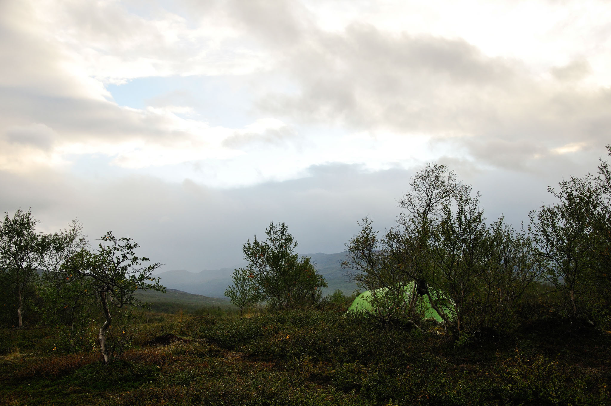 Abisko-2013_-335.jpg