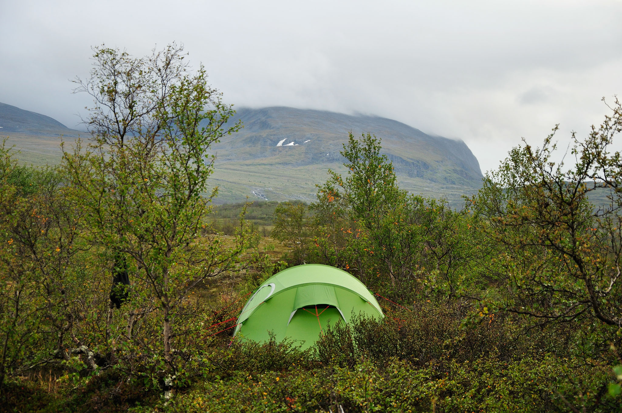 Abisko-2013_-337.jpg