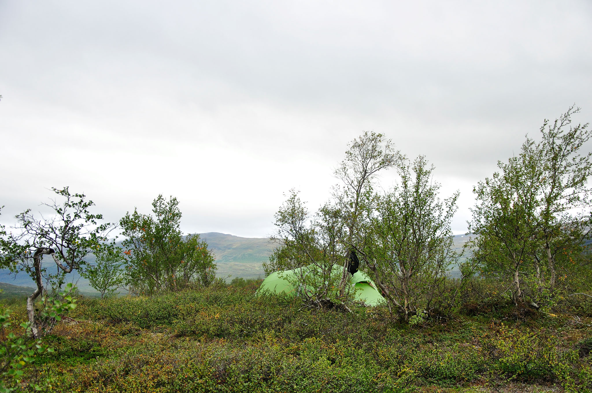 Abisko-2013_-342.jpg