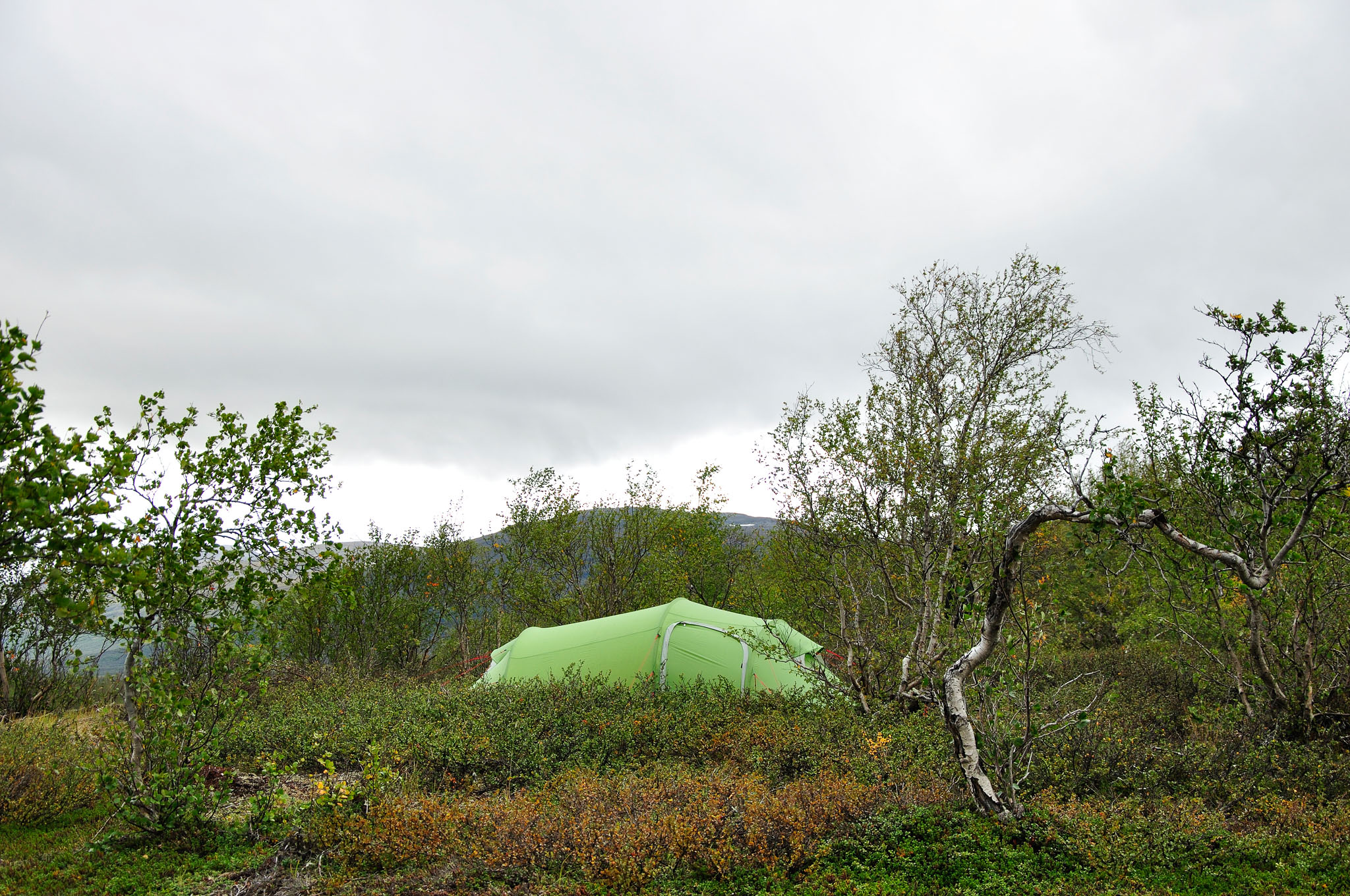 Abisko-2013_-343.jpg