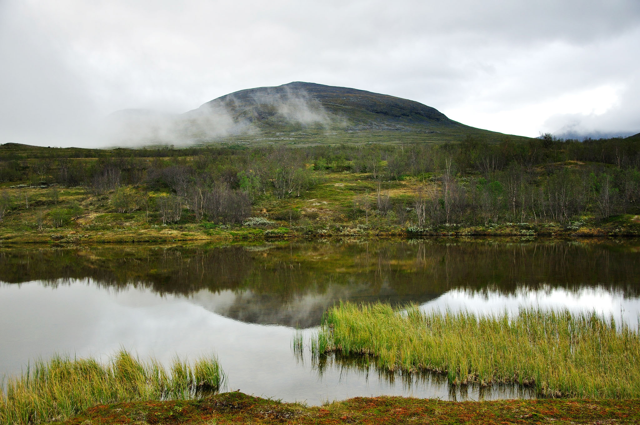 Abisko-2013_-347.jpg