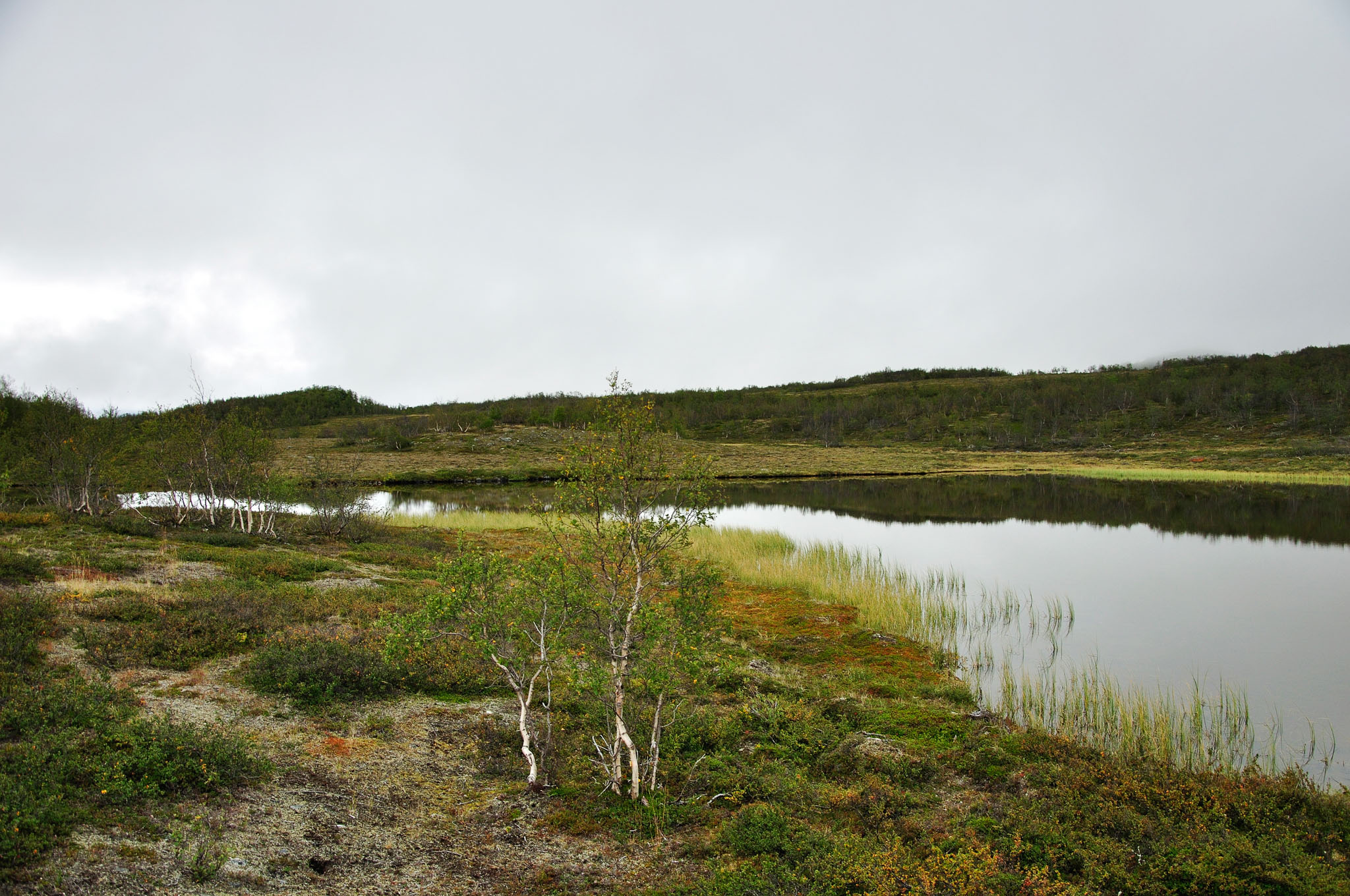 Abisko-2013_-348.jpg