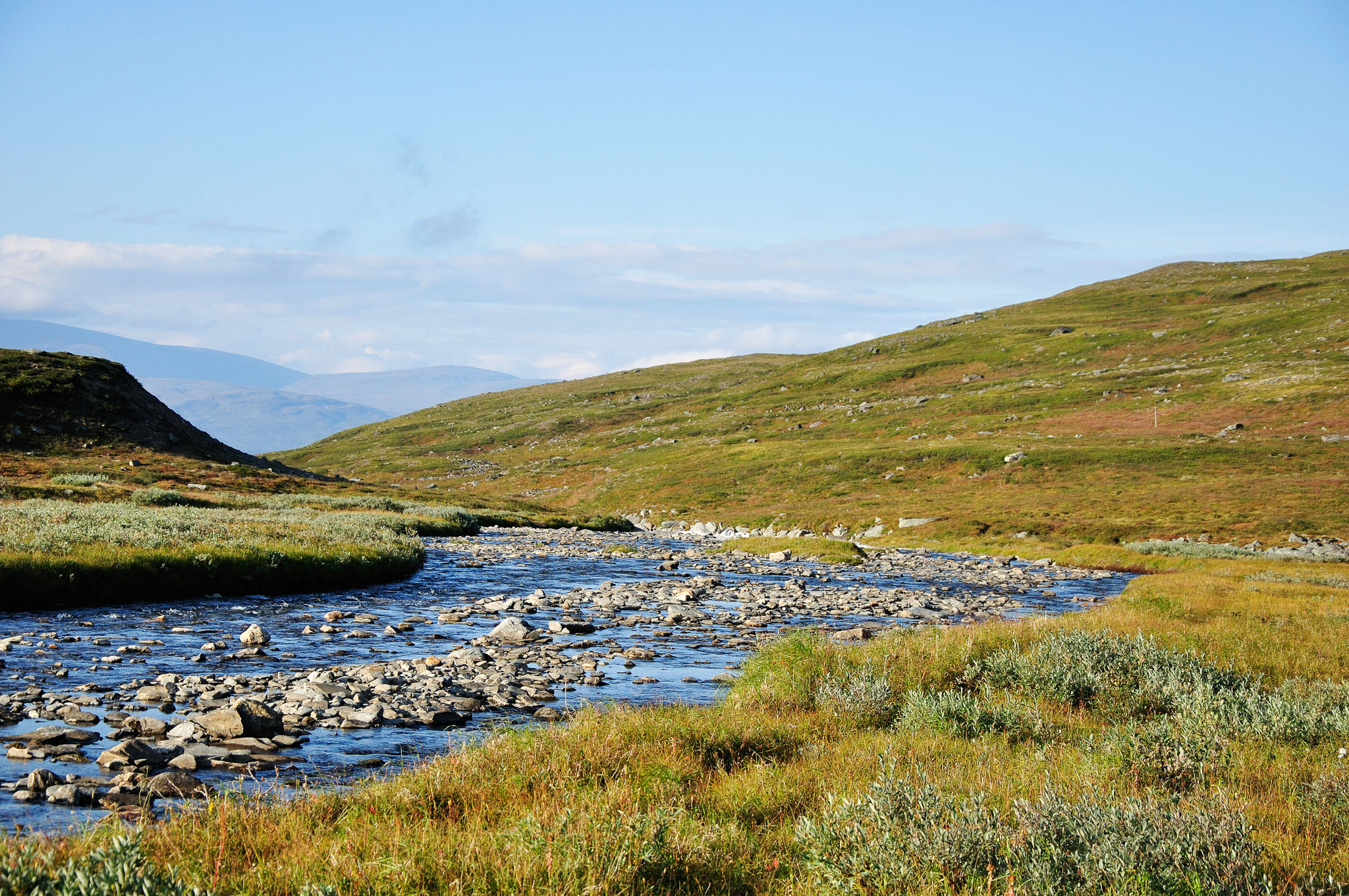 Abisko-2013_-35.jpg