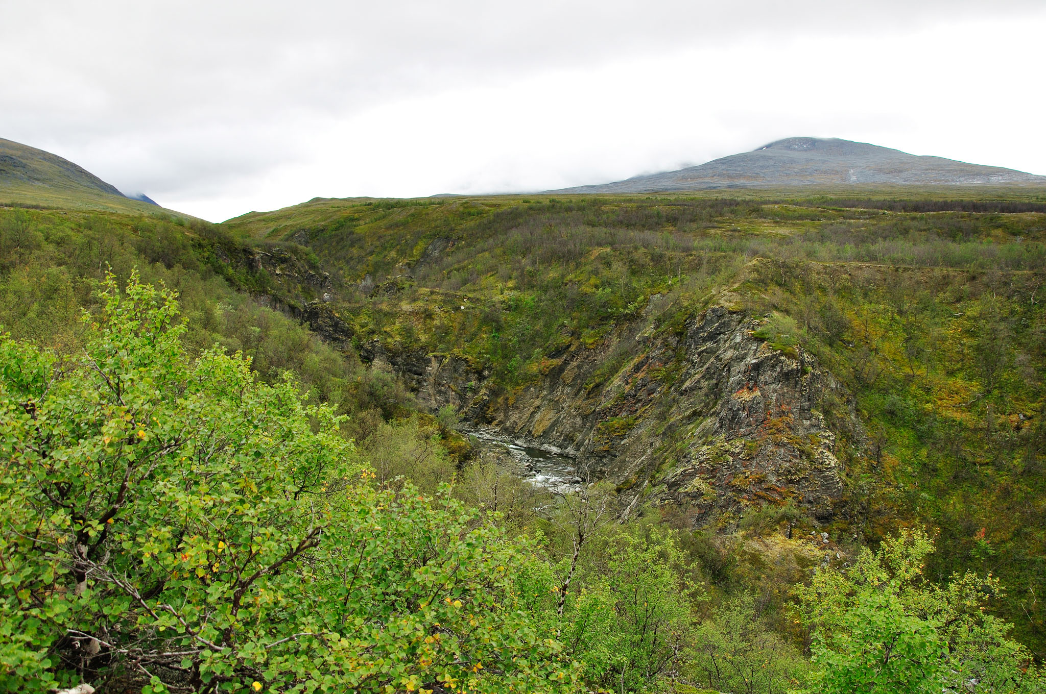 Abisko-2013_-350.jpg