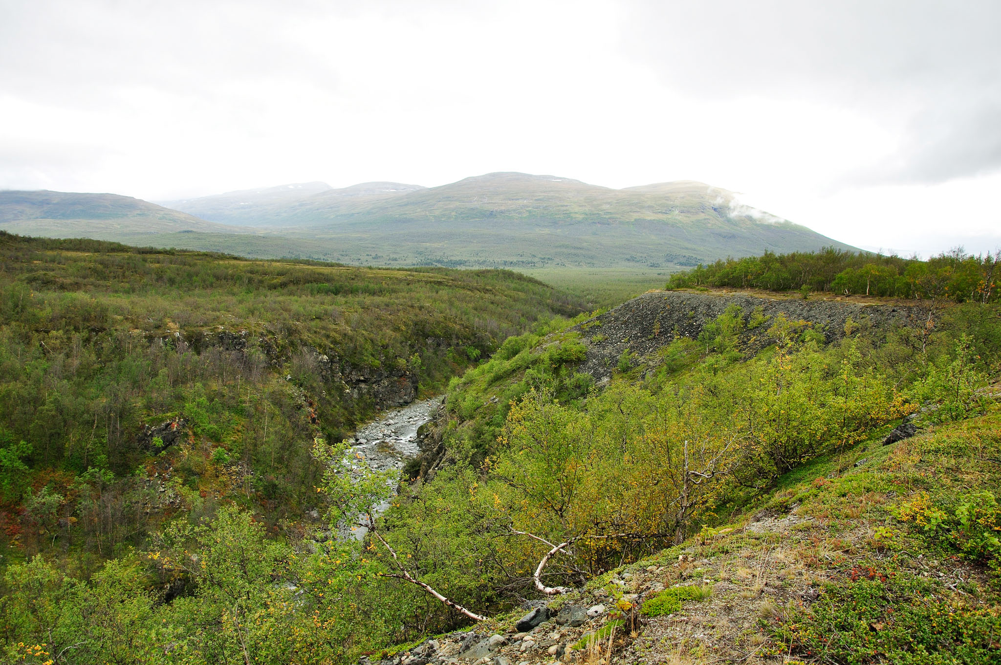 Abisko-2013_-351.jpg