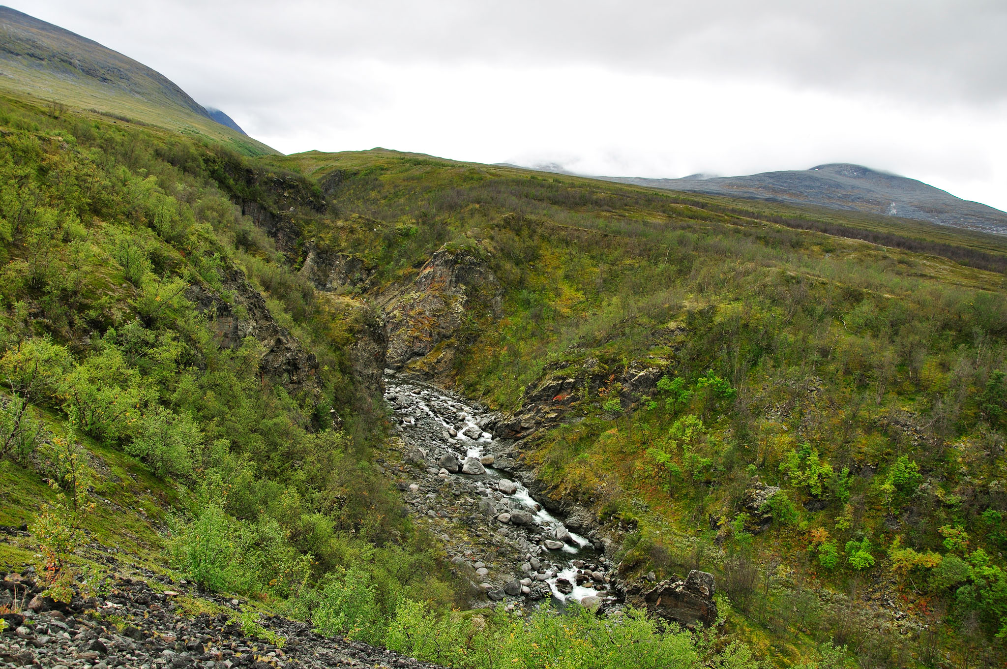 Abisko-2013_-355.jpg