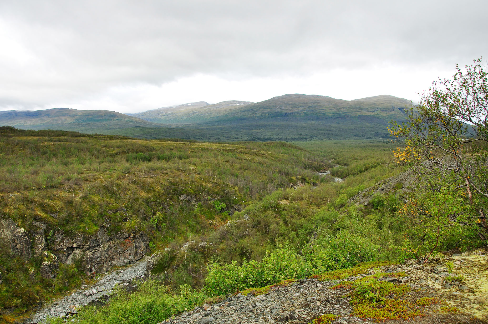 Abisko-2013_-356.jpg