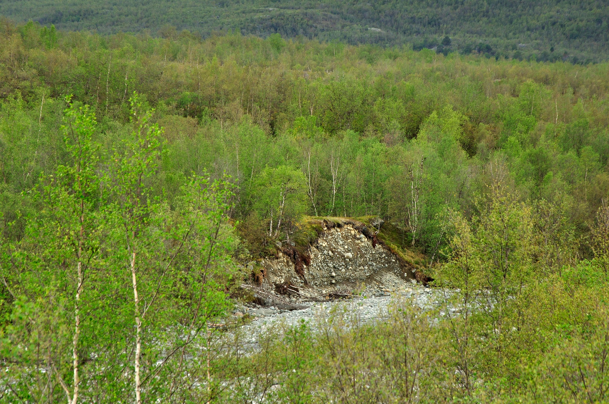 Abisko-2013_-357.jpg