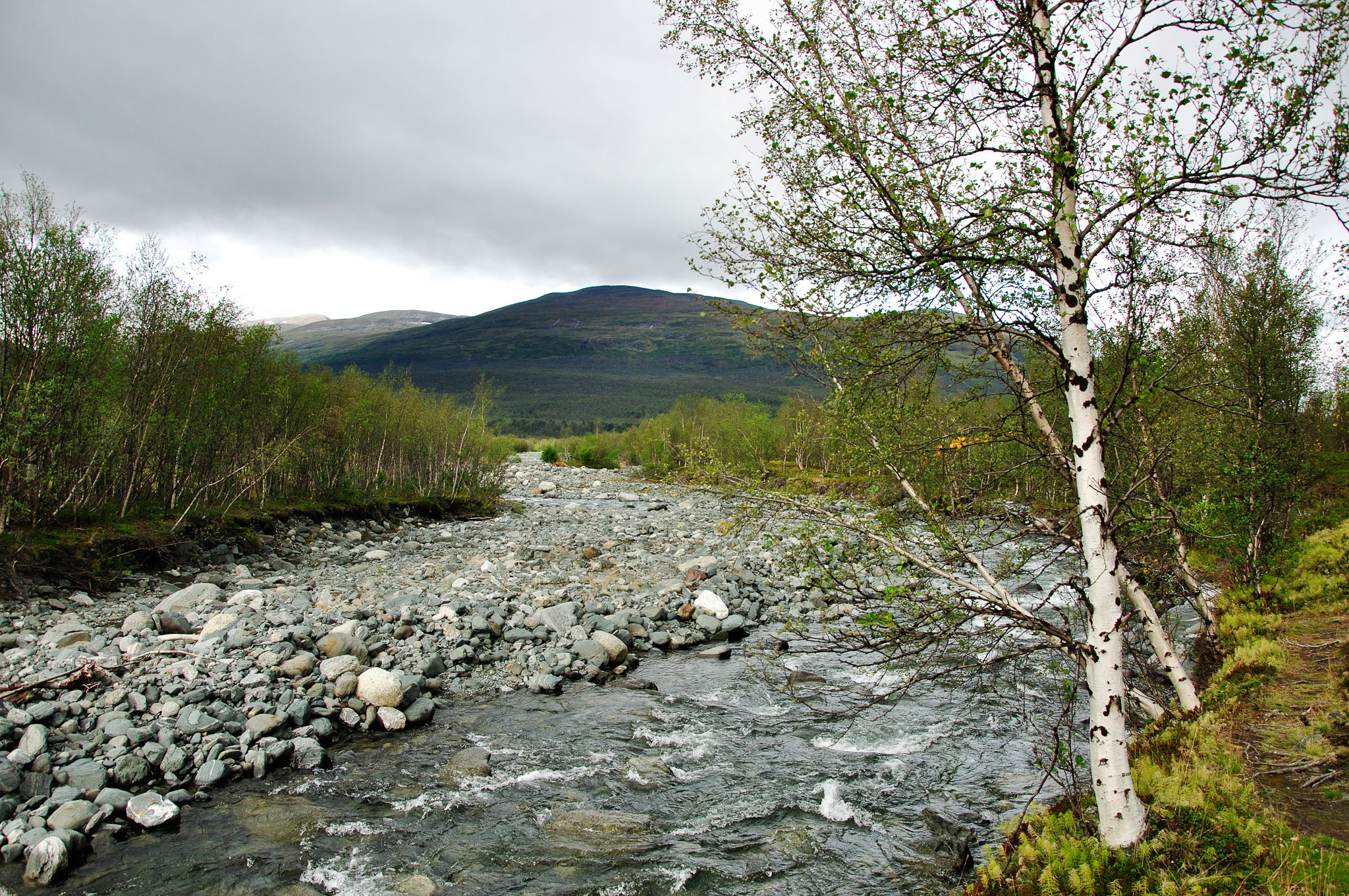 Abisko-2013_-358.jpg