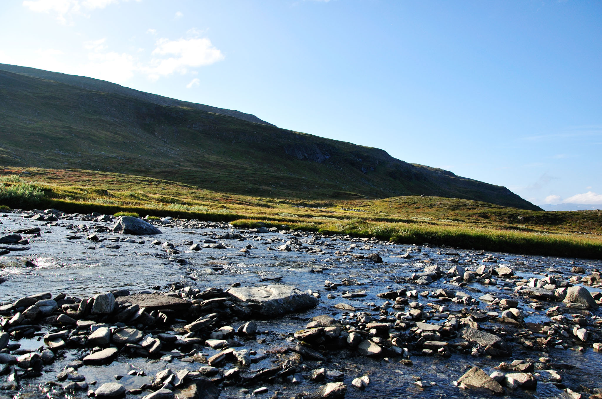 Abisko-2013_-37.jpg