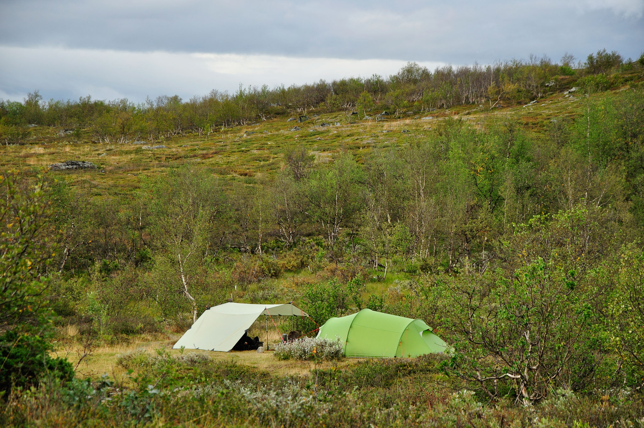 Abisko-2013_-370.jpg