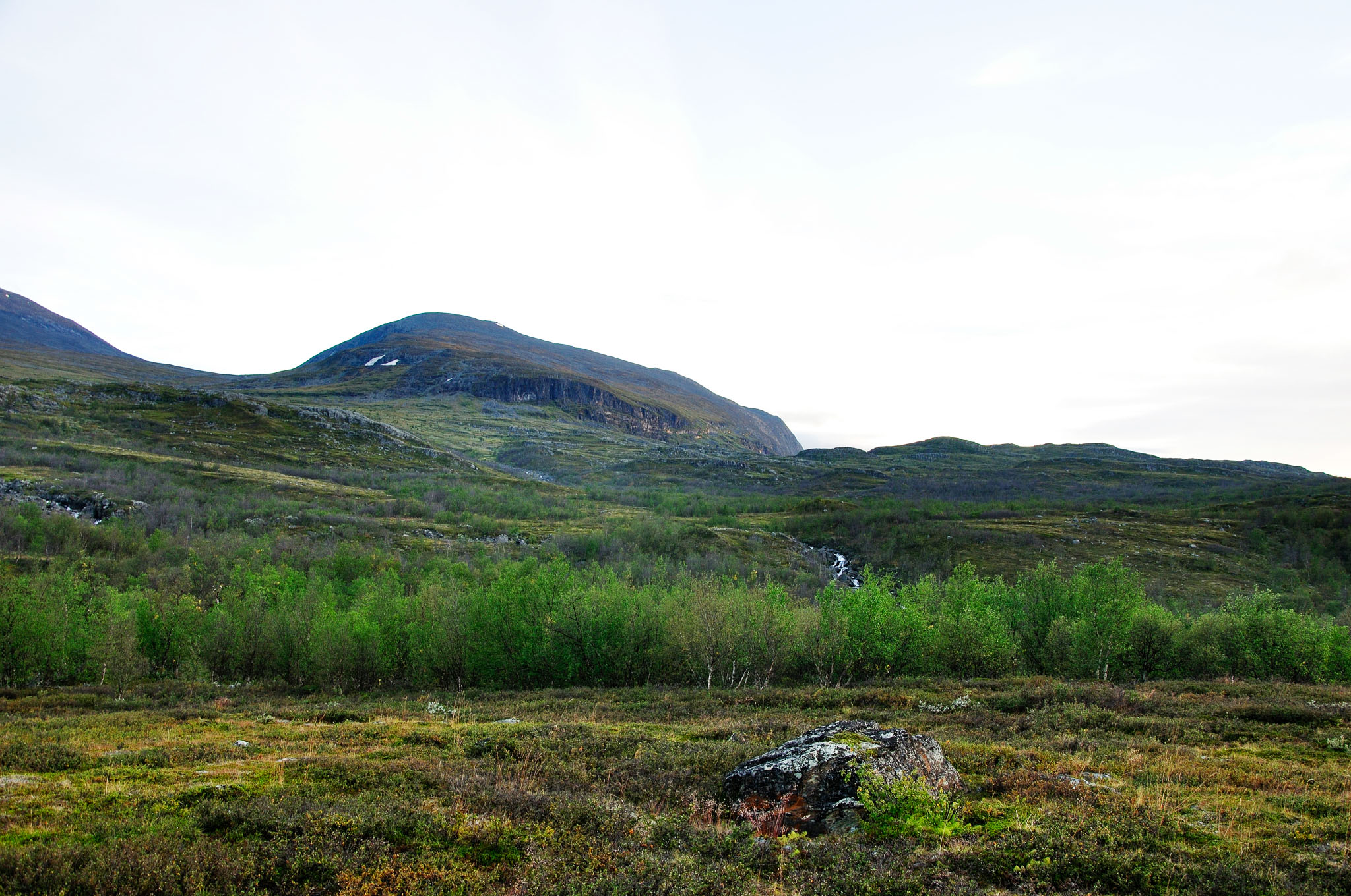 Abisko-2013_-377.jpg