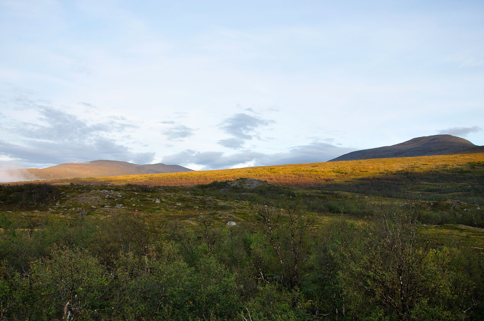 Abisko-2013_-379.jpg