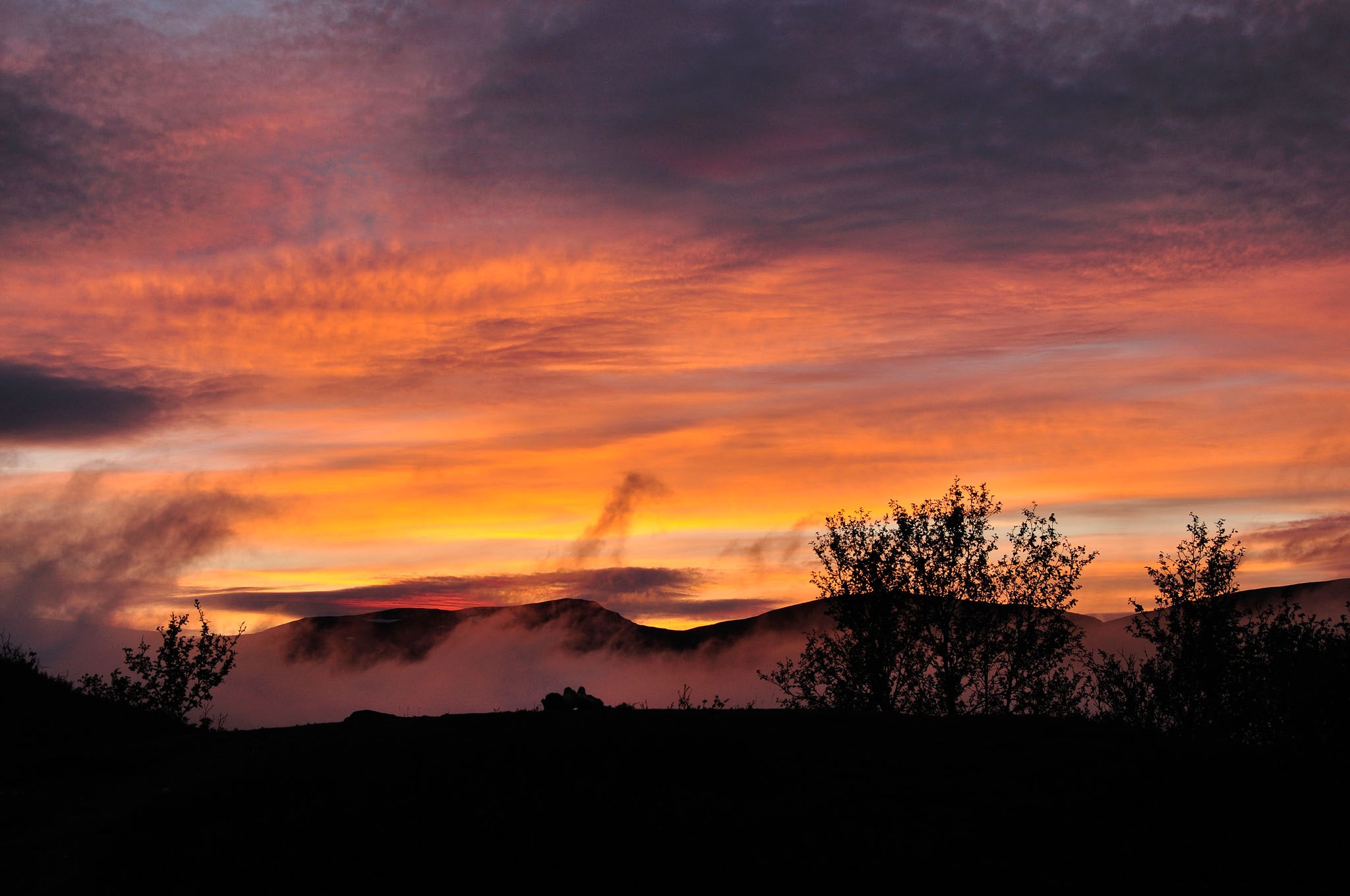 Abisko-2013_-386.jpg