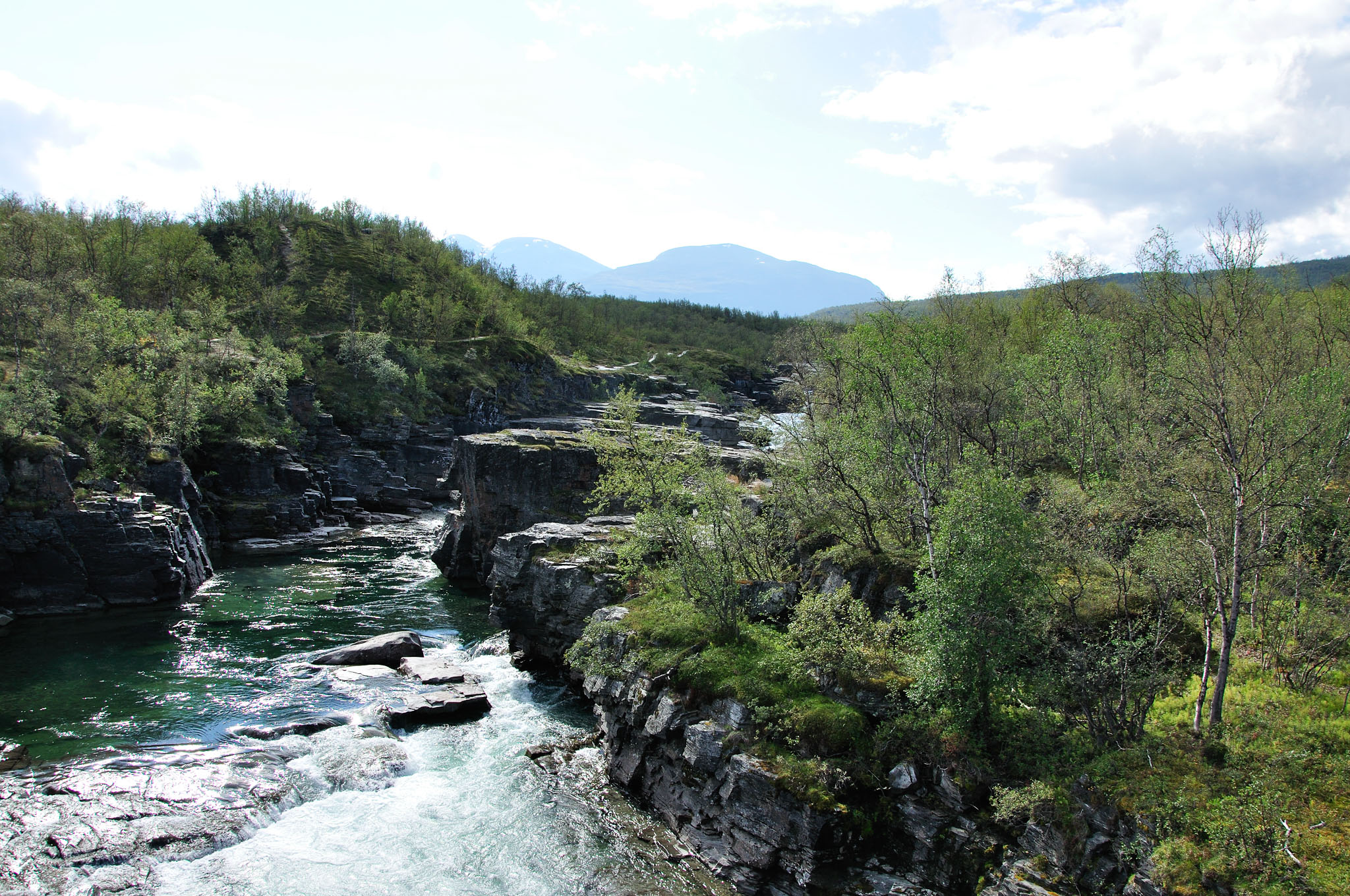 Abisko-2013_-5.jpg