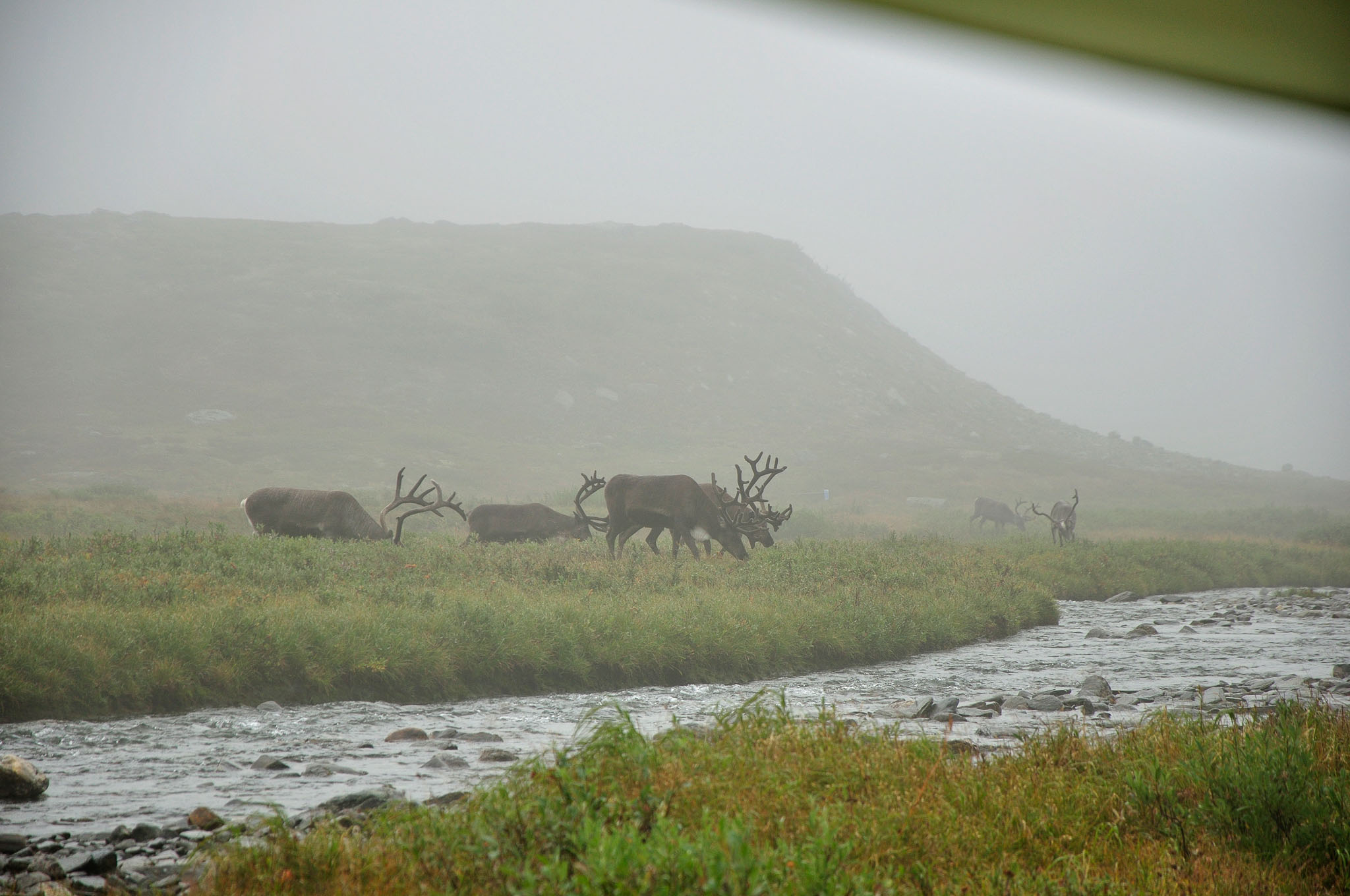 Abisko-2013_-55.jpg