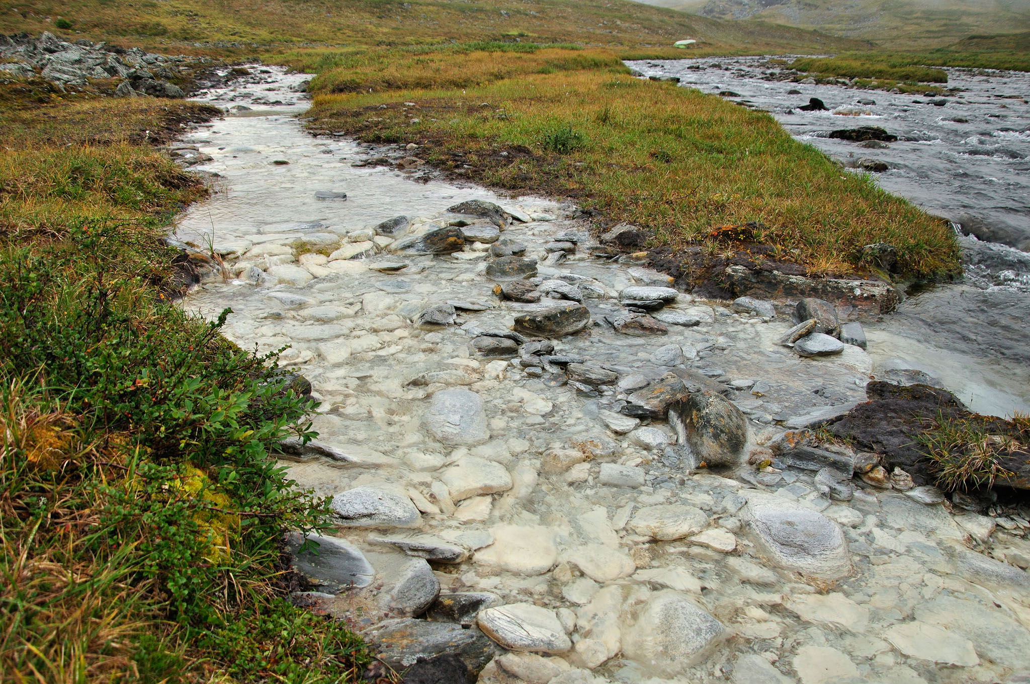 Abisko-2013_-60.jpg