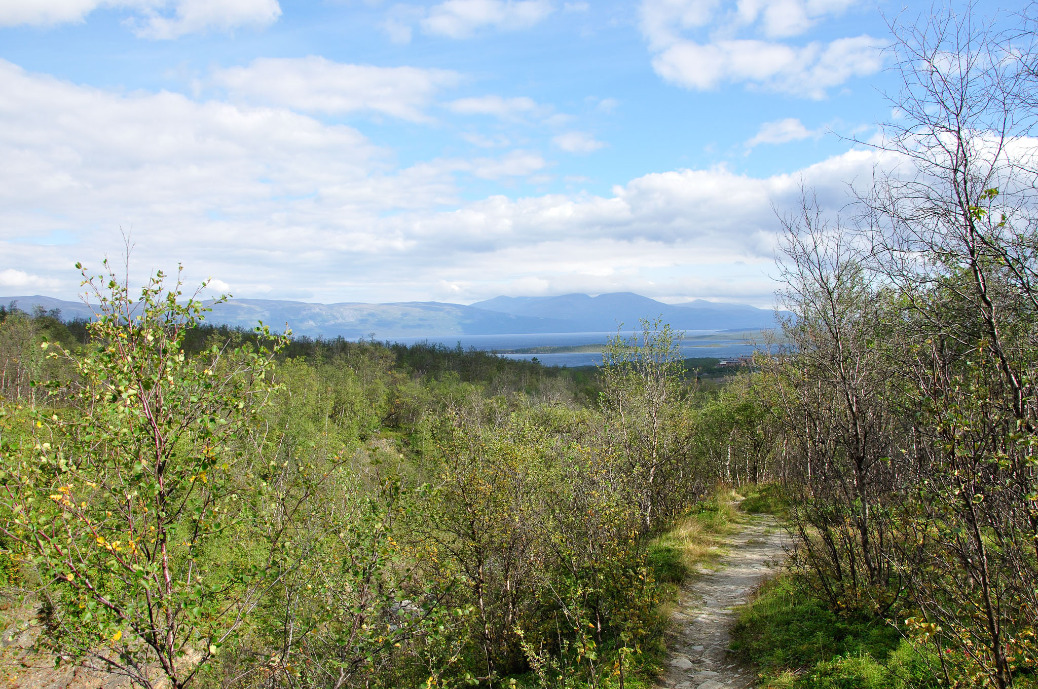 Abisko-2013_-7.jpg