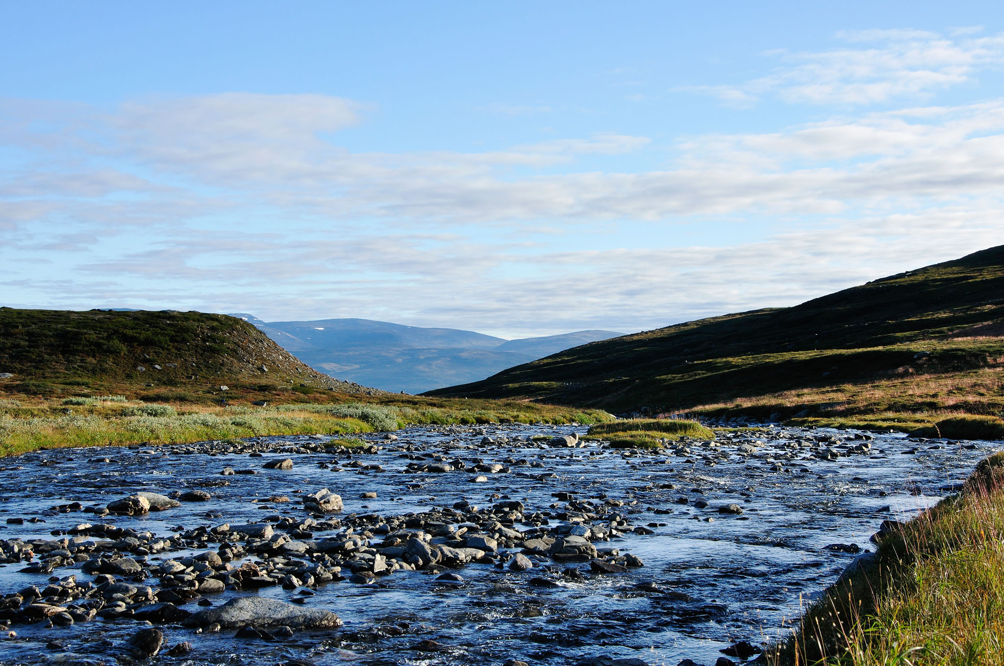 Abisko-2013_-71.jpg