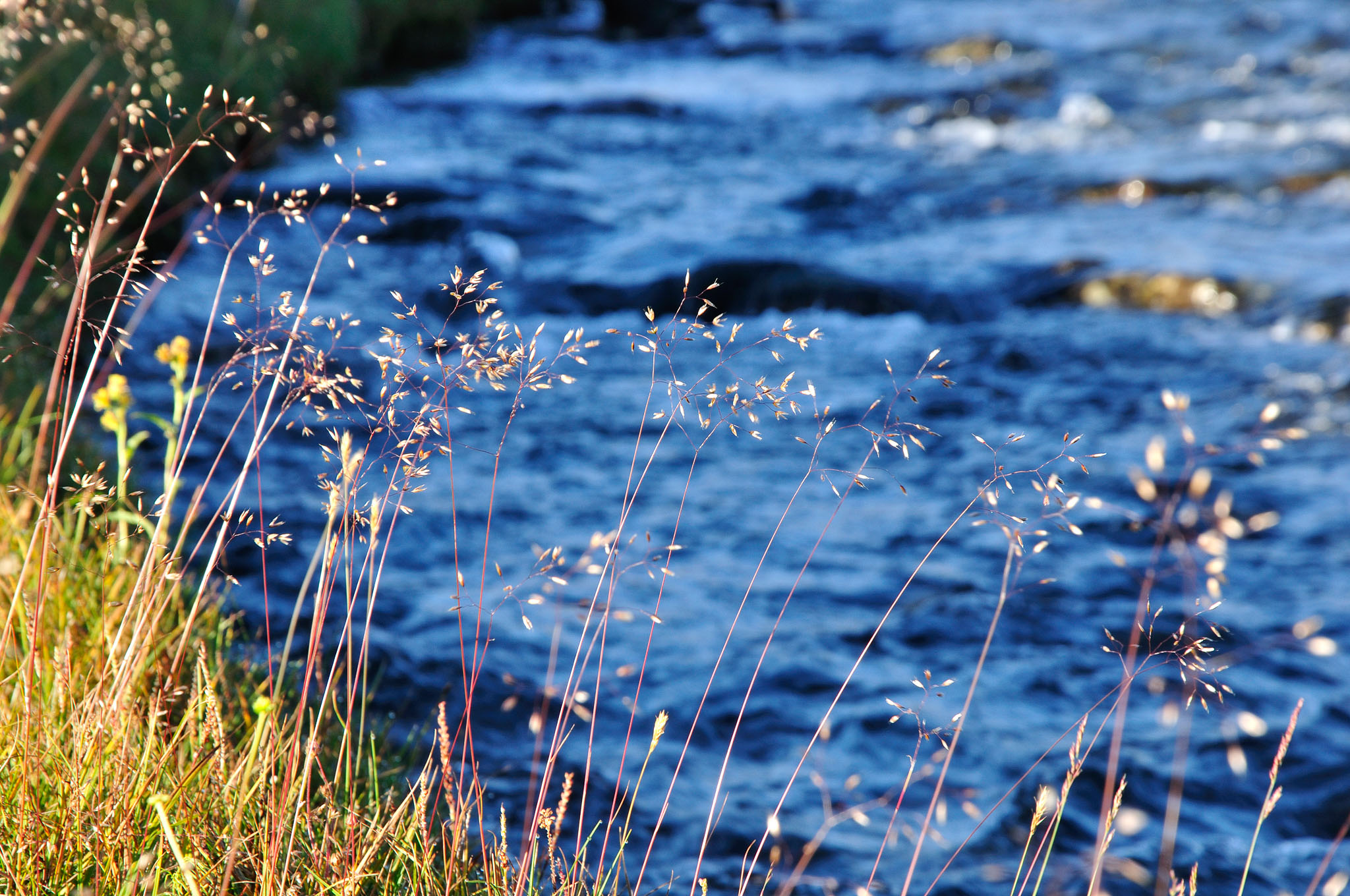 Abisko-2013_-74.jpg