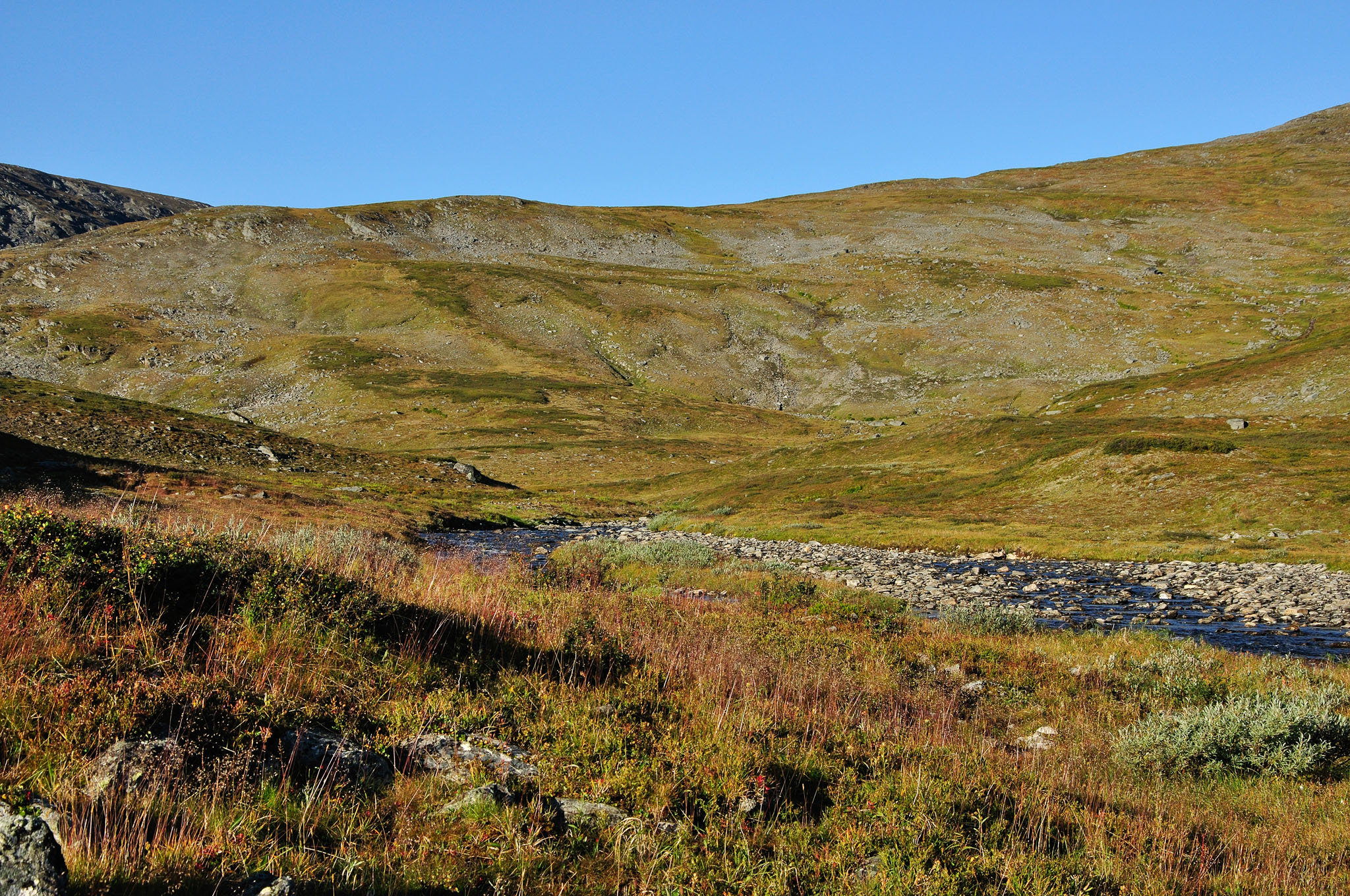 Abisko-2013_-79.jpg