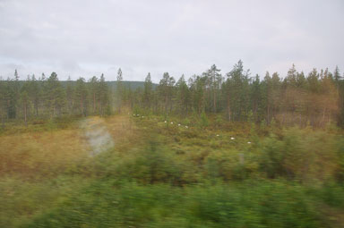 Abisko-2013_-2.jpg