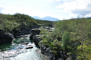 Abisko-2013_-5.jpg