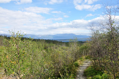 Abisko-2013_-7.jpg