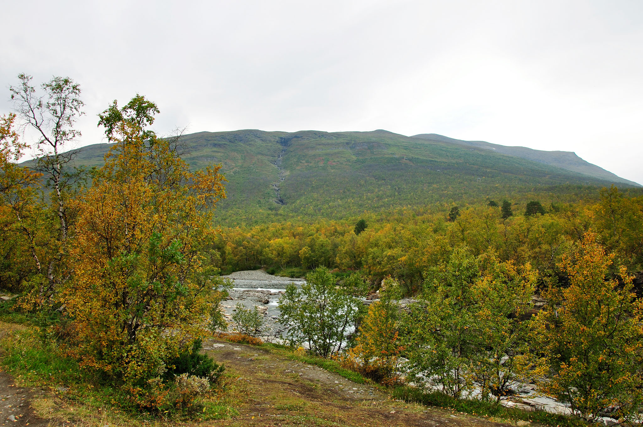 Abisko201405_-w.jpg