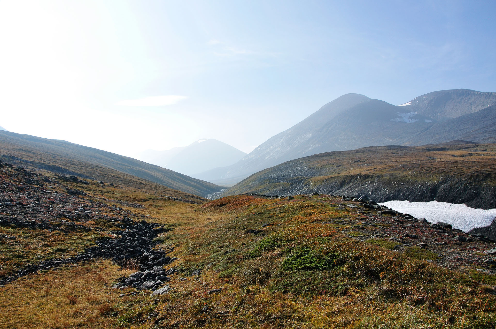 Abisko2014100_-w.jpg