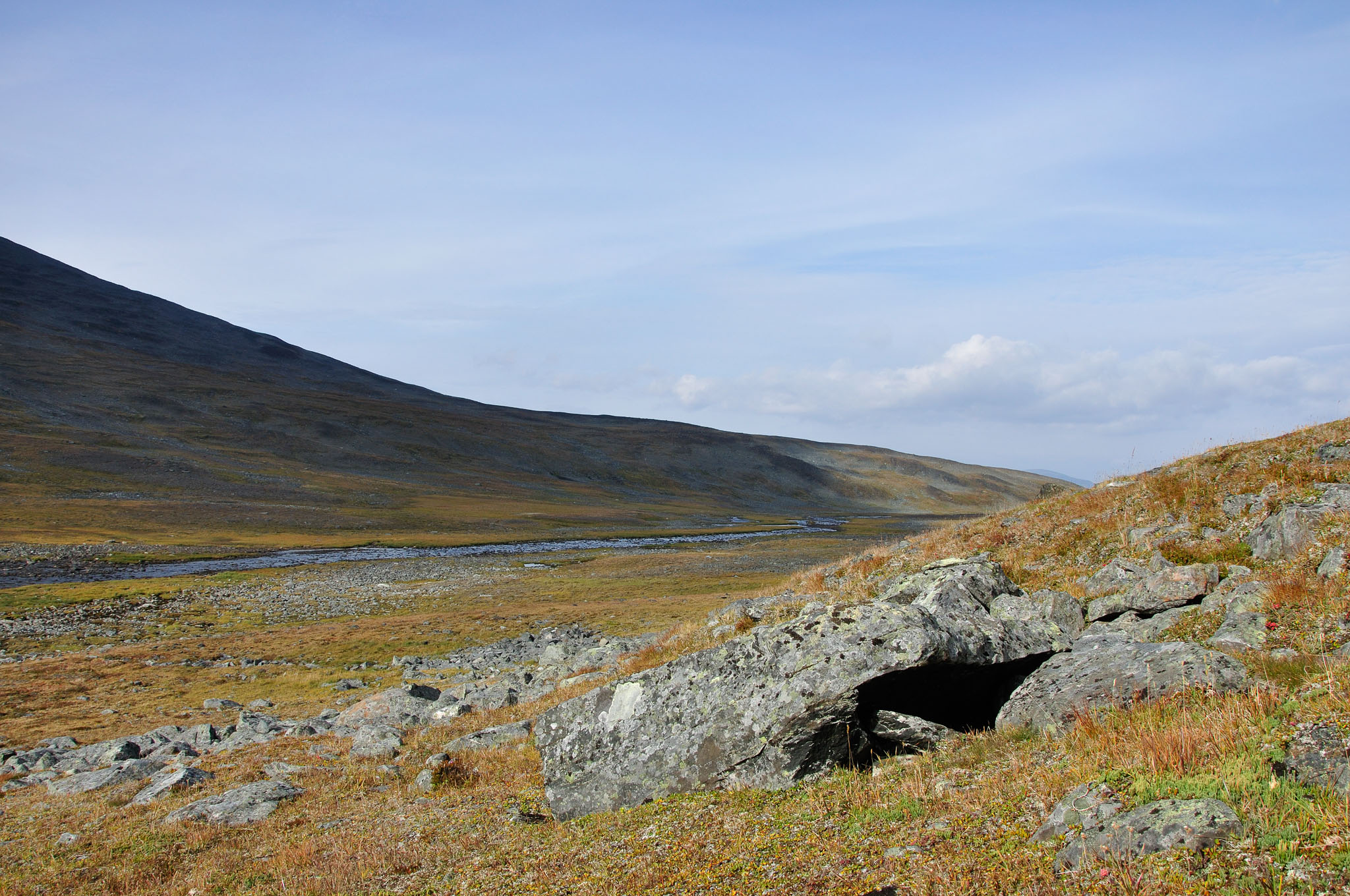 Abisko2014114_-w.jpg