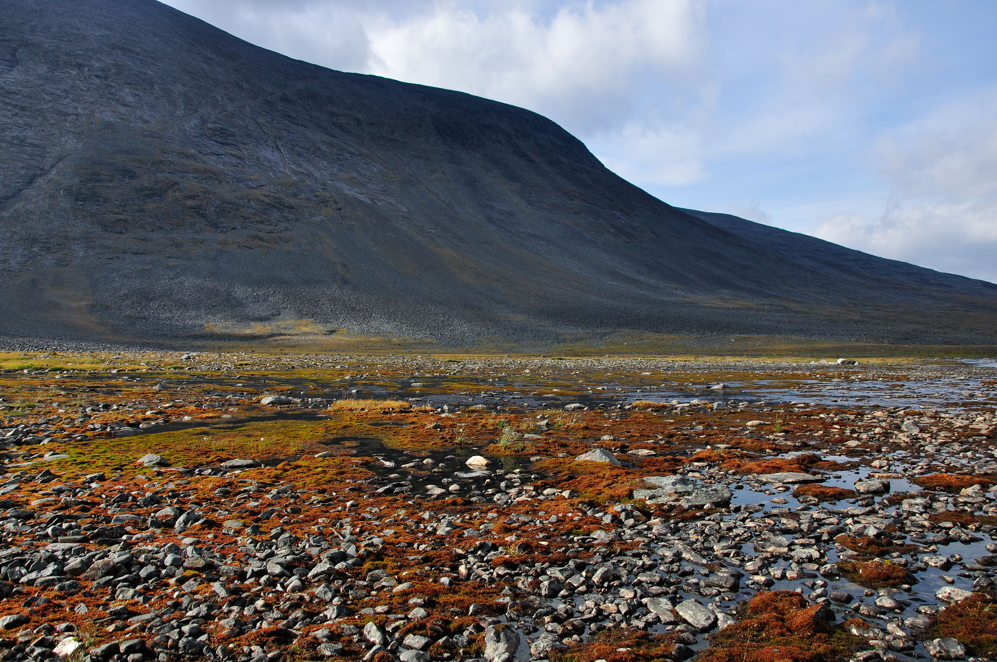 Abisko2014134_-w.jpg