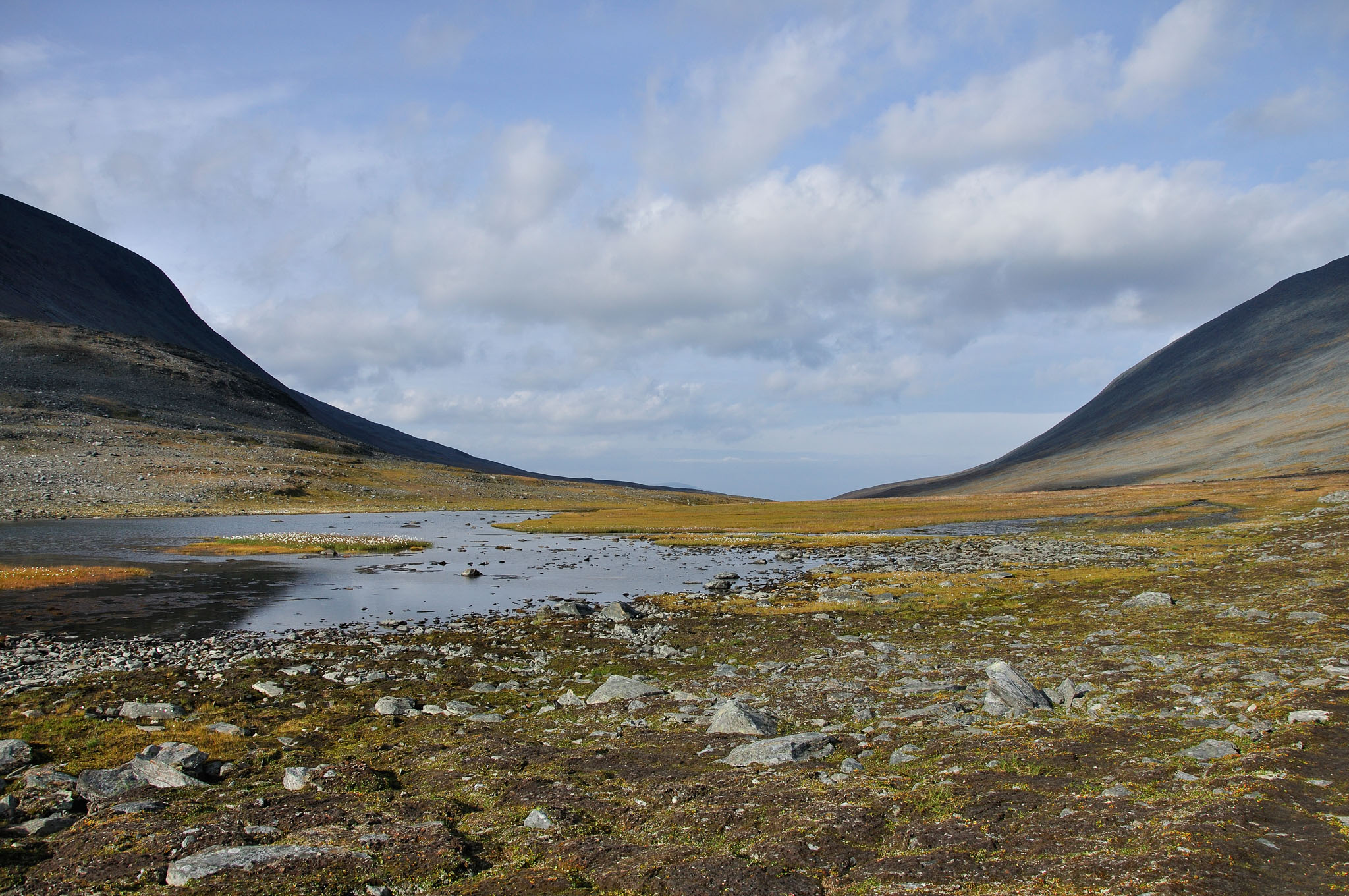 Abisko2014138_-w.jpg