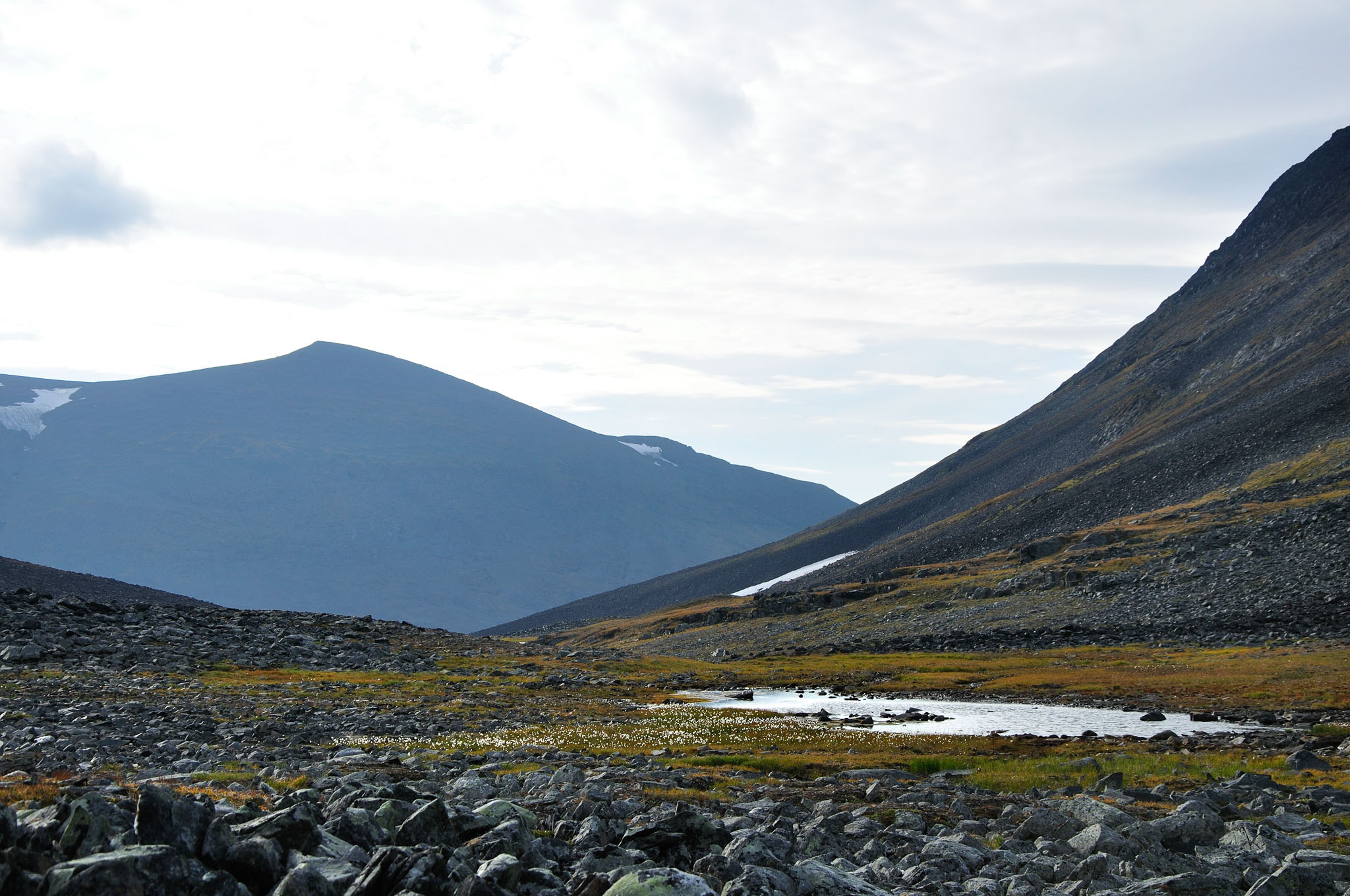 Abisko2014142_-w.jpg