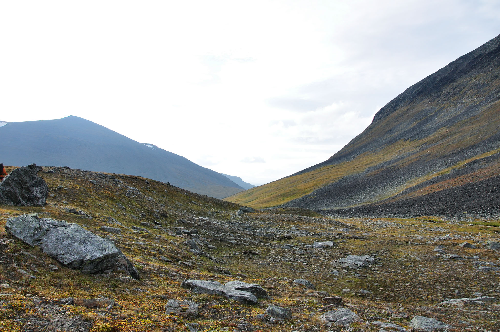 Abisko2014144_-w.jpg