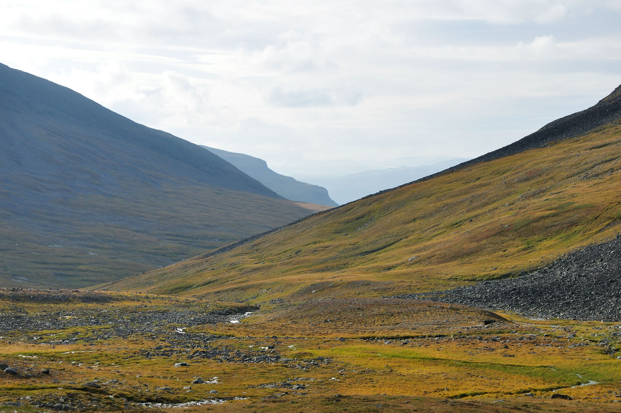 Abisko2014147_-w.jpg