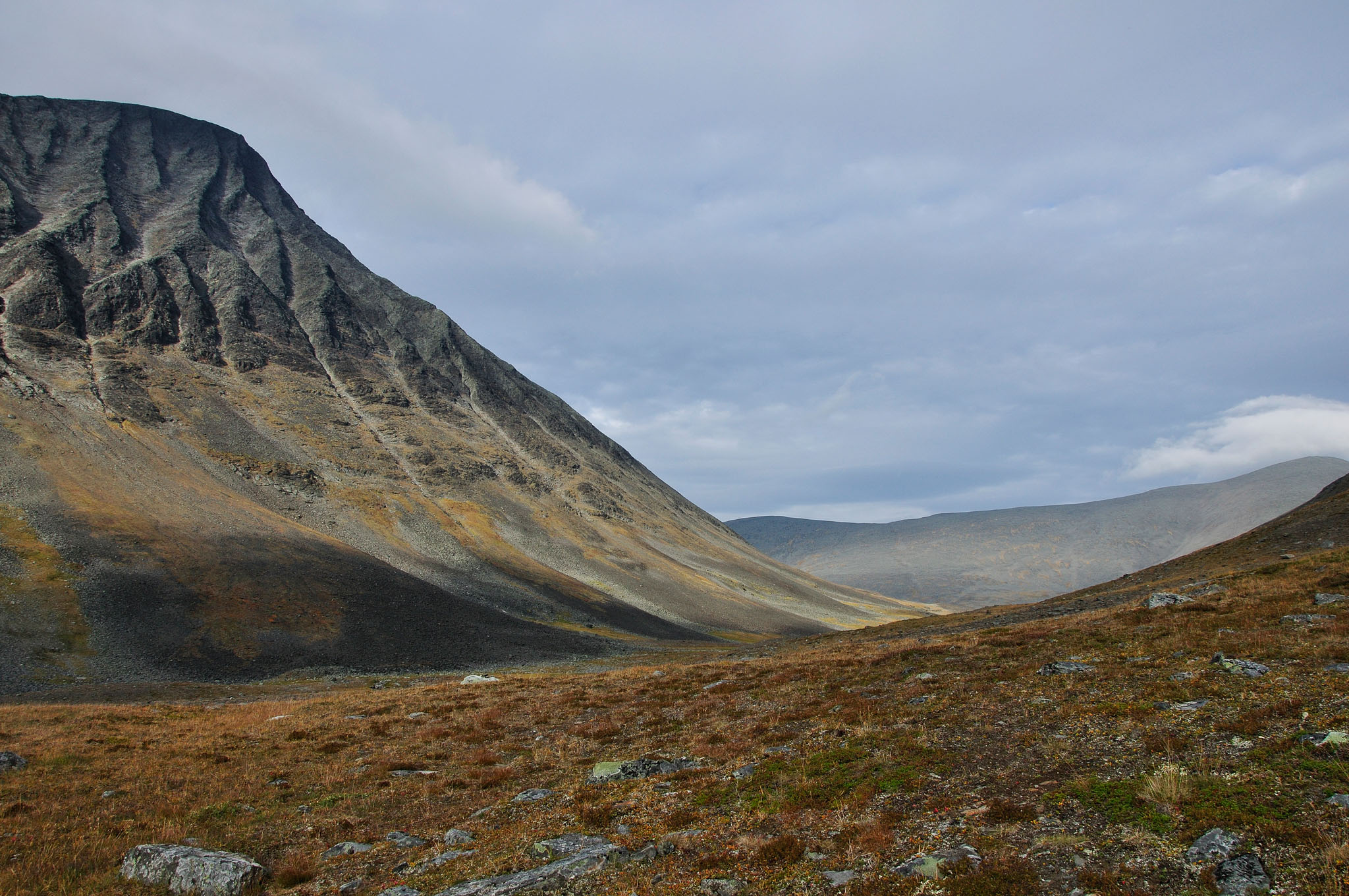 Abisko2014148_-w.jpg