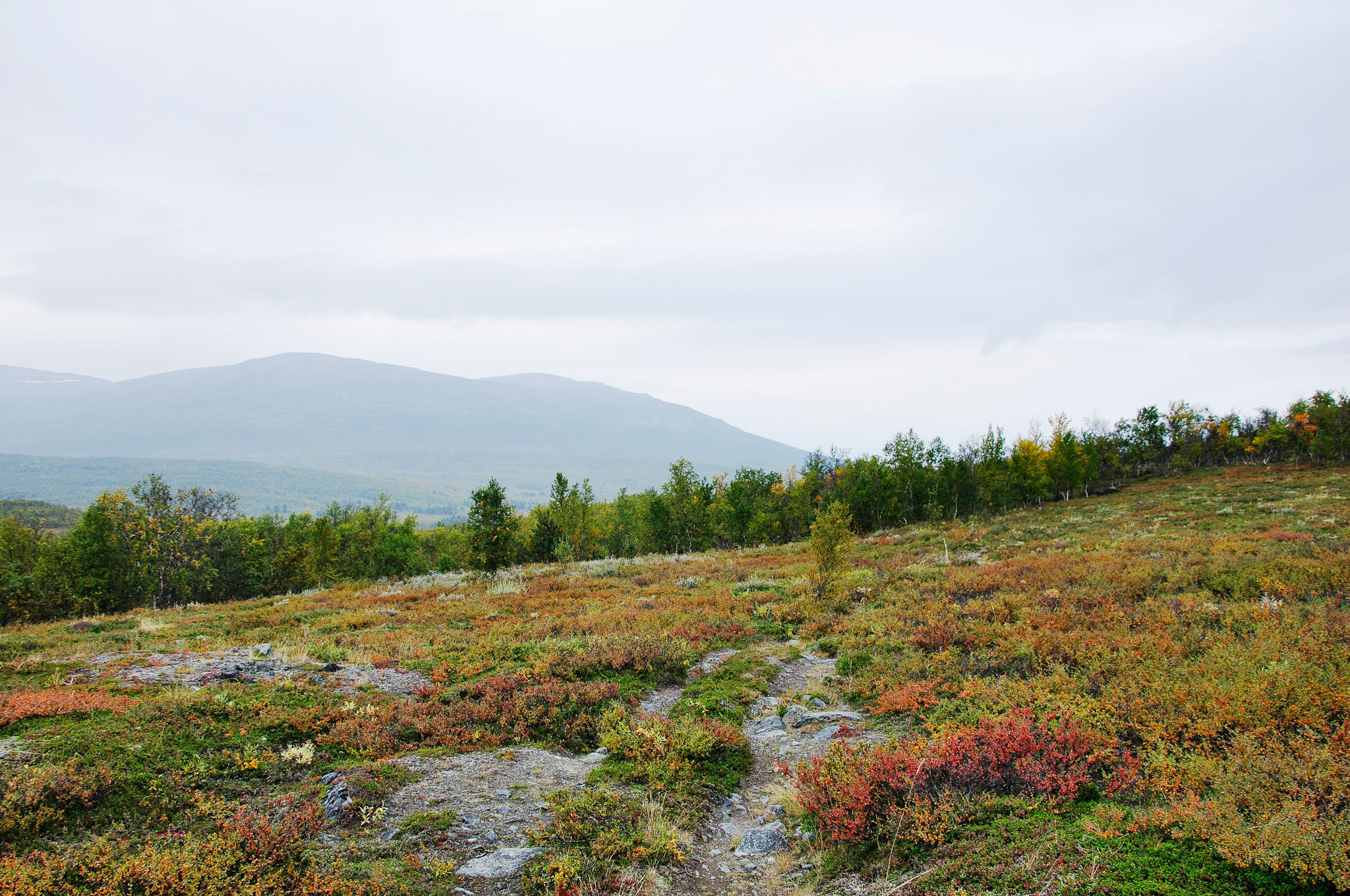 Abisko201424_-w.jpg