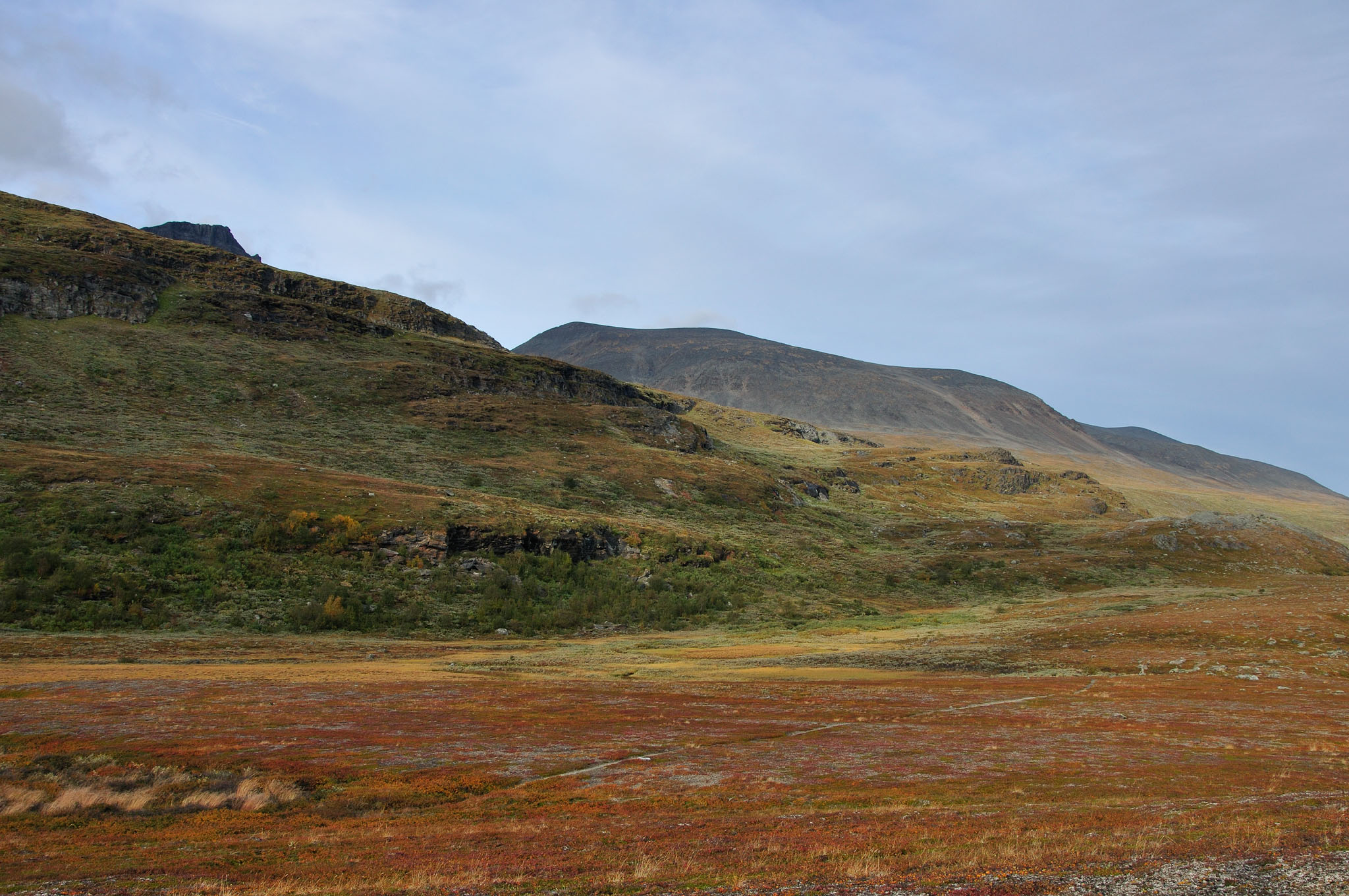 Abisko2014259_-w.jpg