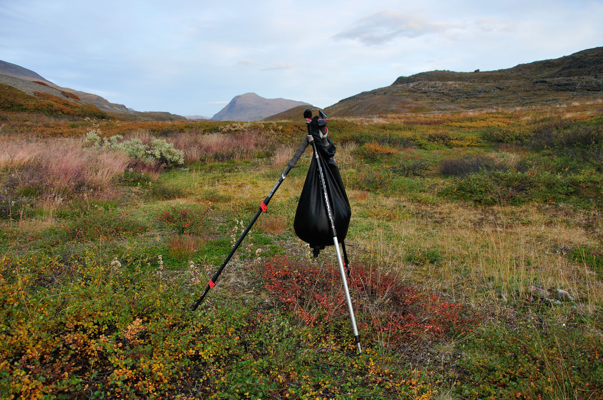 Abisko2014281_-w.jpg