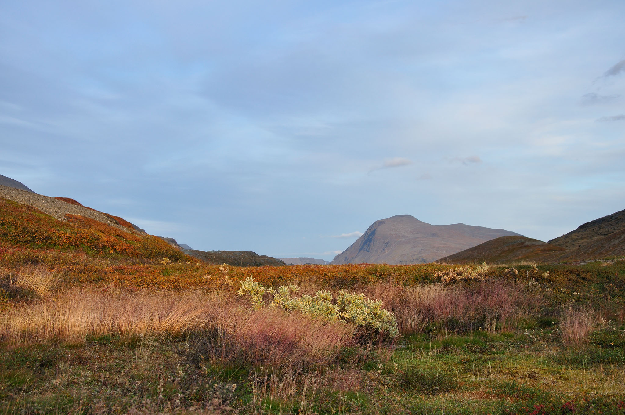 Abisko2014291_-w.jpg