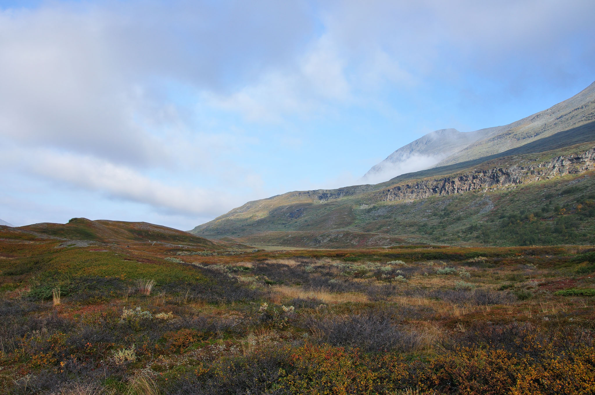 Abisko2014310_-w.jpg