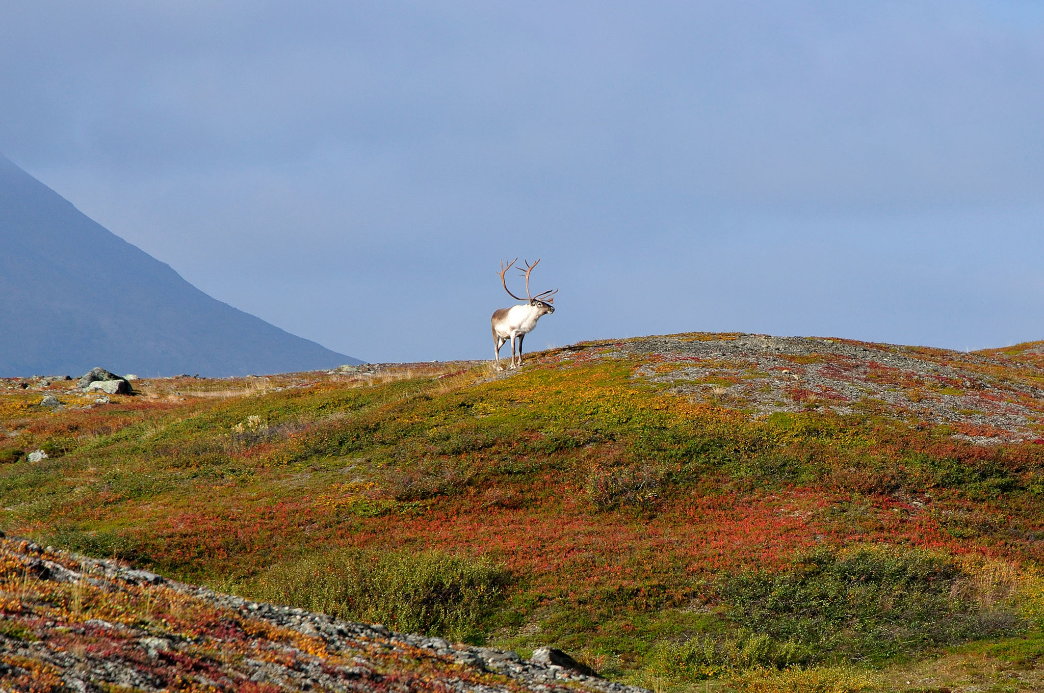 Abisko2014337_-w.jpg