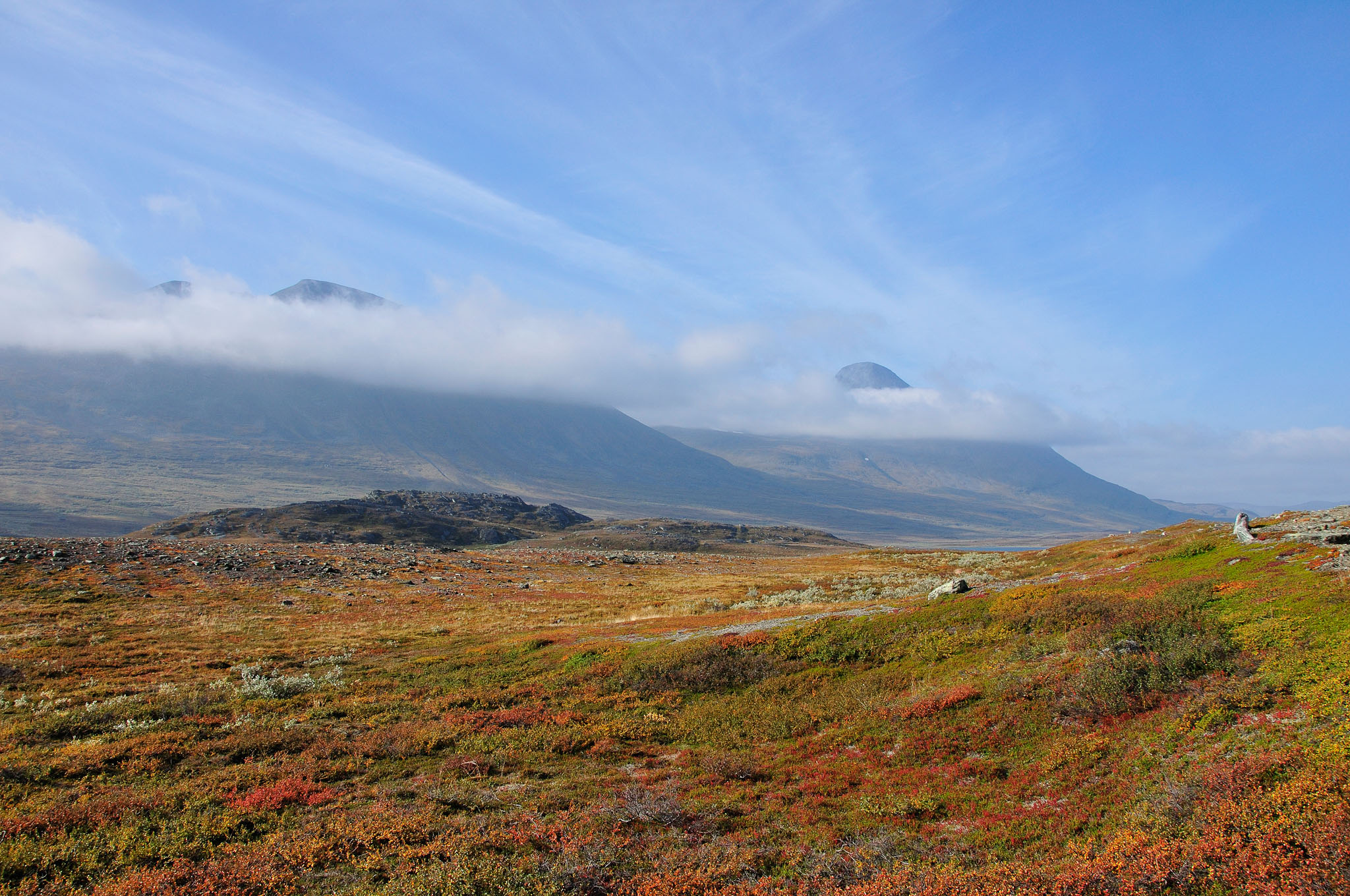 Abisko2014351_-w.jpg