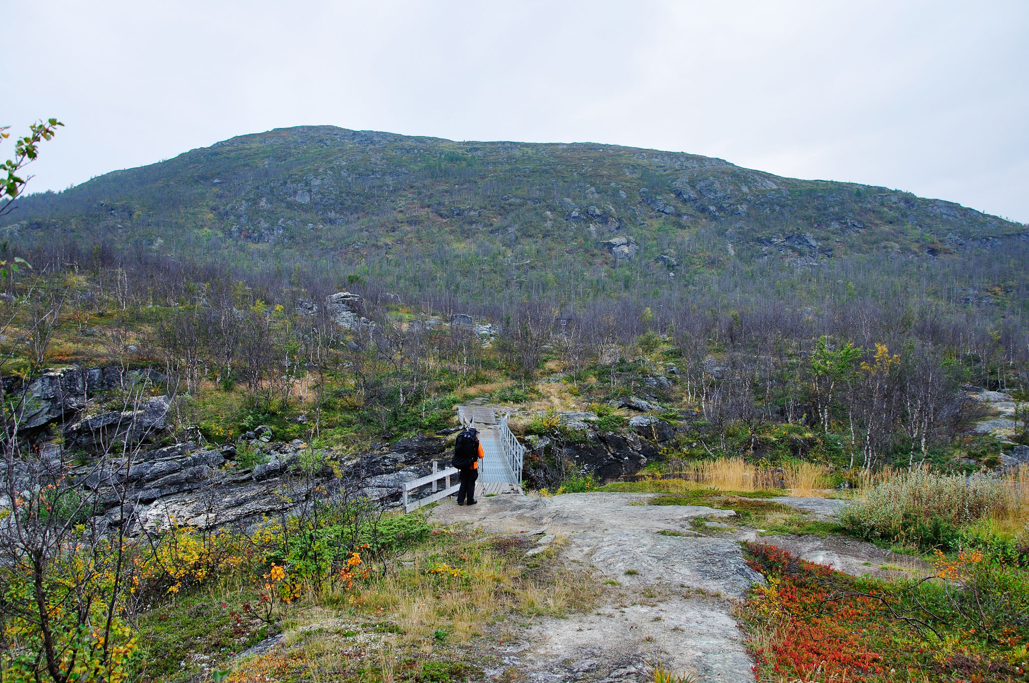 Abisko2014434_-w.jpg