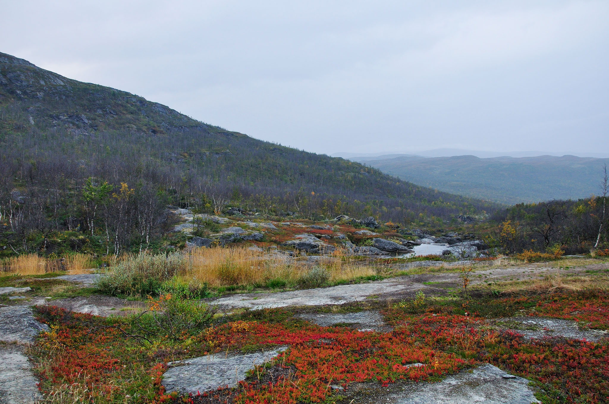 Abisko2014435_-w.jpg