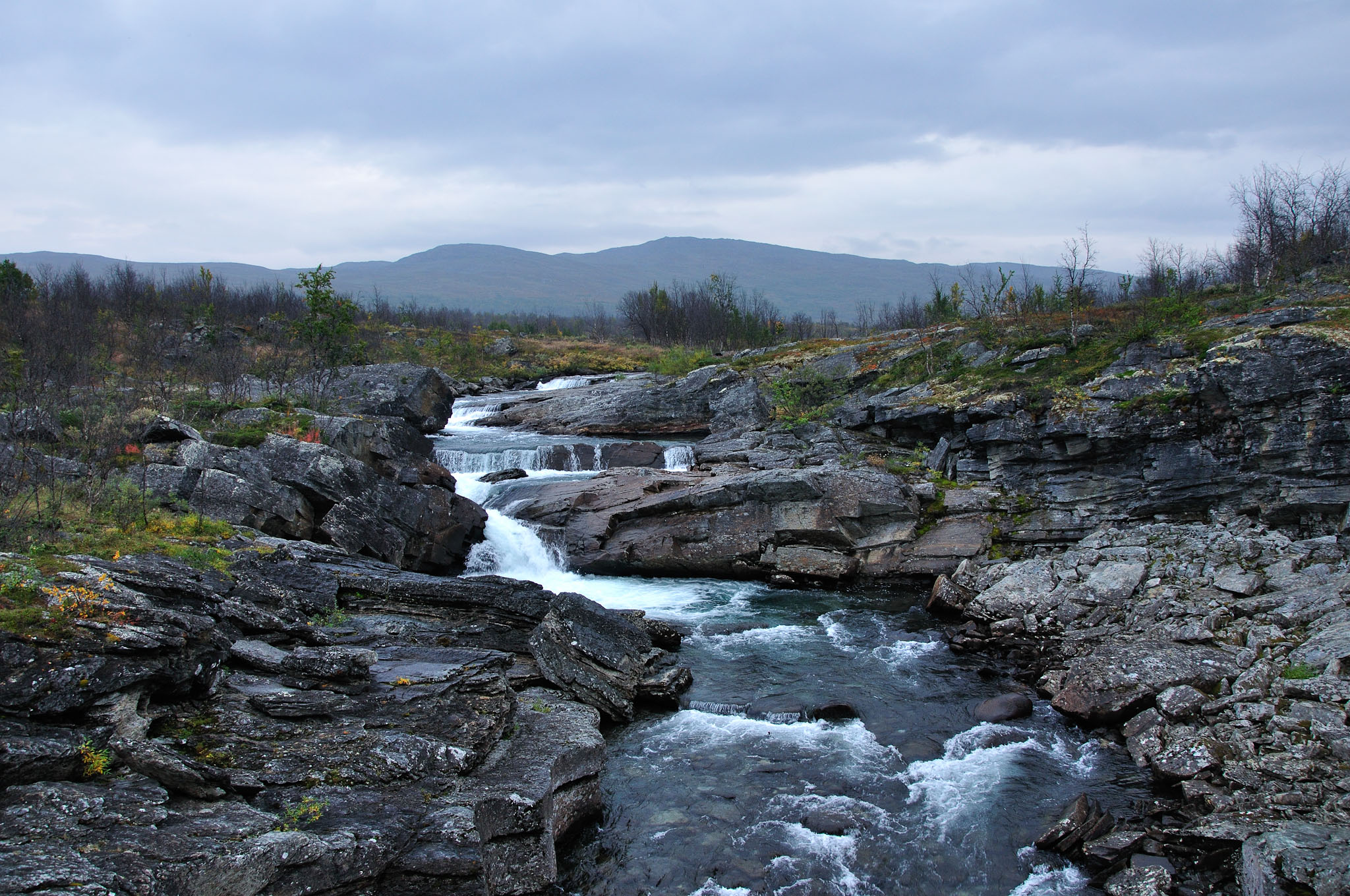 Abisko2014436_-w.jpg